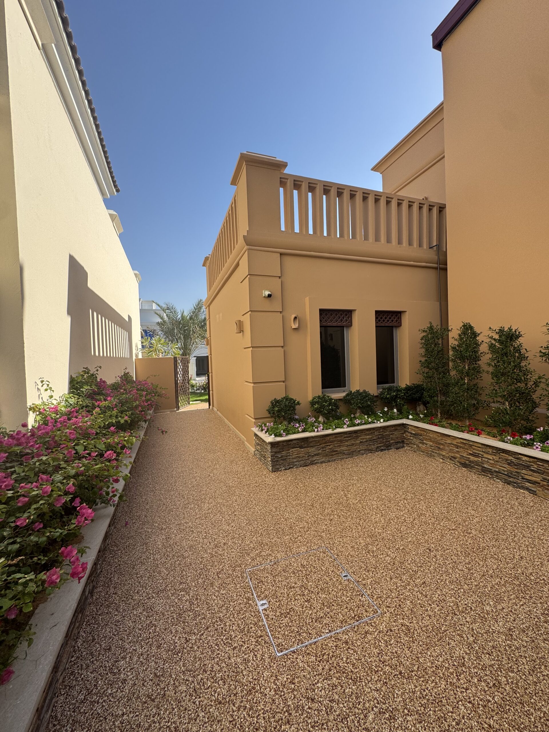 Palm courtyard