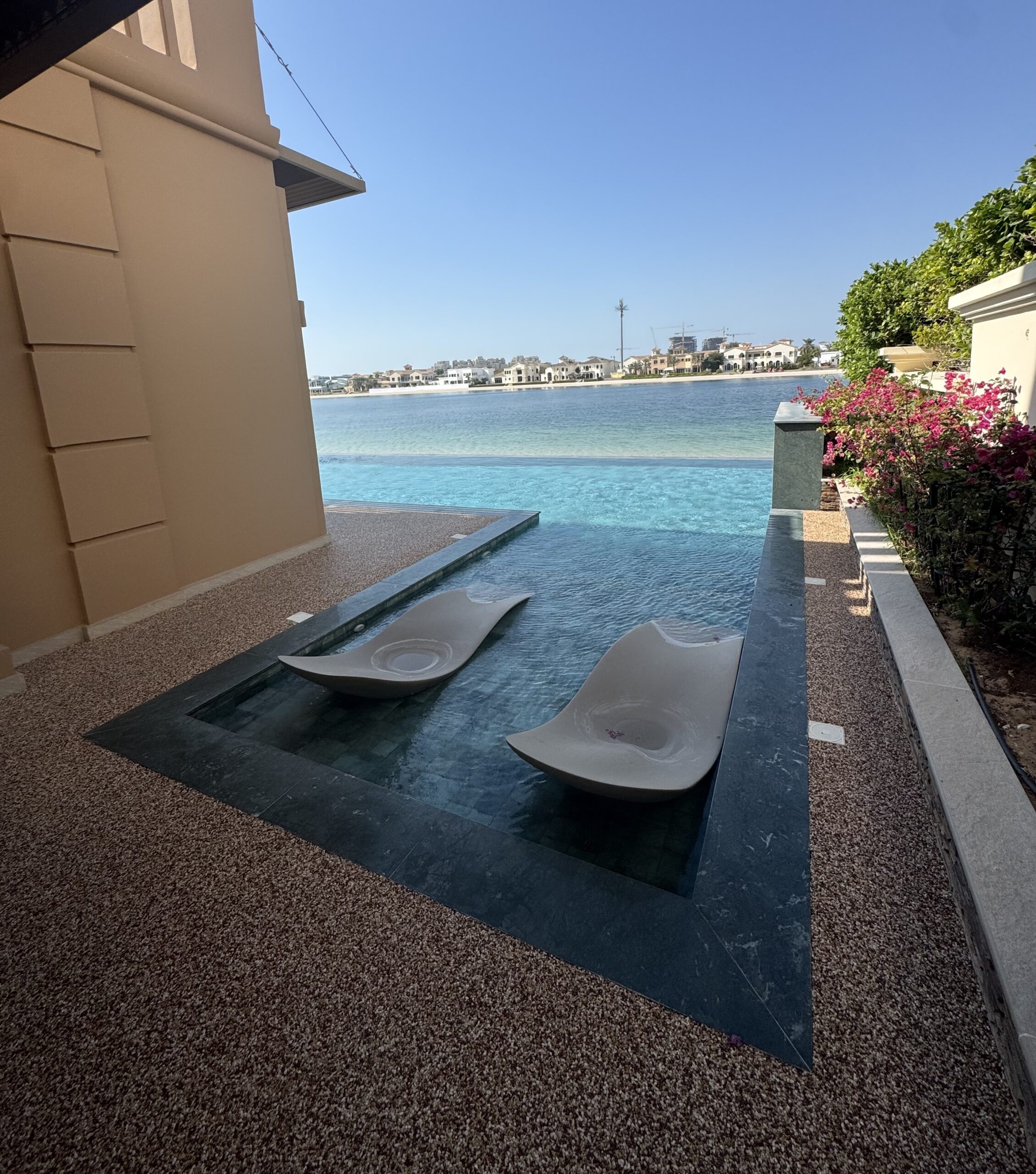 Palm sunloungers
